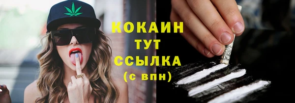 сатива Белоозёрский