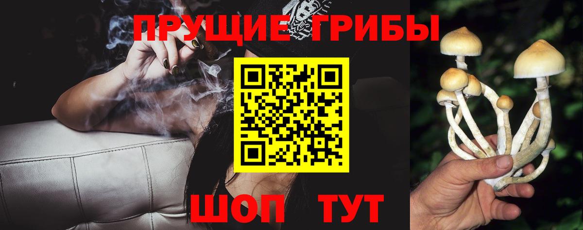 Галлюциногенные грибы Cubensis  Псилоцибиновые грибы мухоморы  Вход с VPN  Буйнакск 